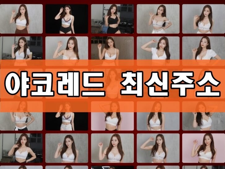 야코레드 최신주소