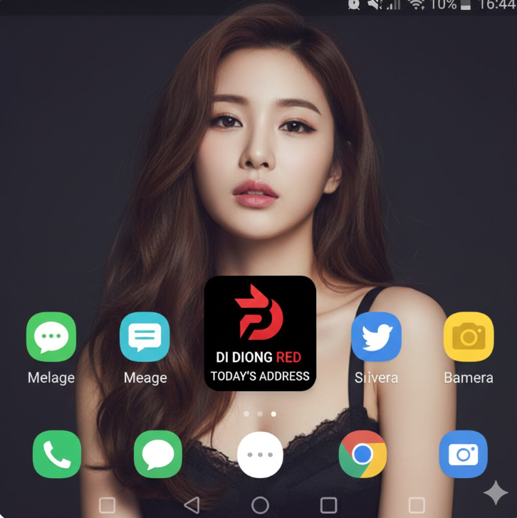 화면 중앙에는 **'DI DONG RED TODAY'S ADDRESS'**라는 이름의 전용 바로가기 아이콘이 배치되어 있습니다 화면 중앙에는 **'DI DONG RED TODAY'S ADDRESS'**라는 이름의 전용 바로가기 아이콘이 배치되어 있습니다